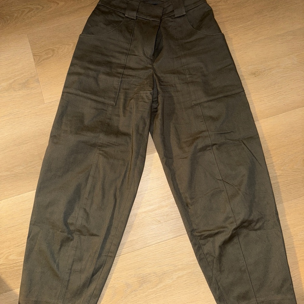 Express Barrel Cargo Pants